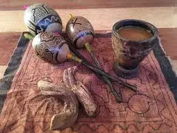 Une cérémonie de transformation avec Madre ayahuasca